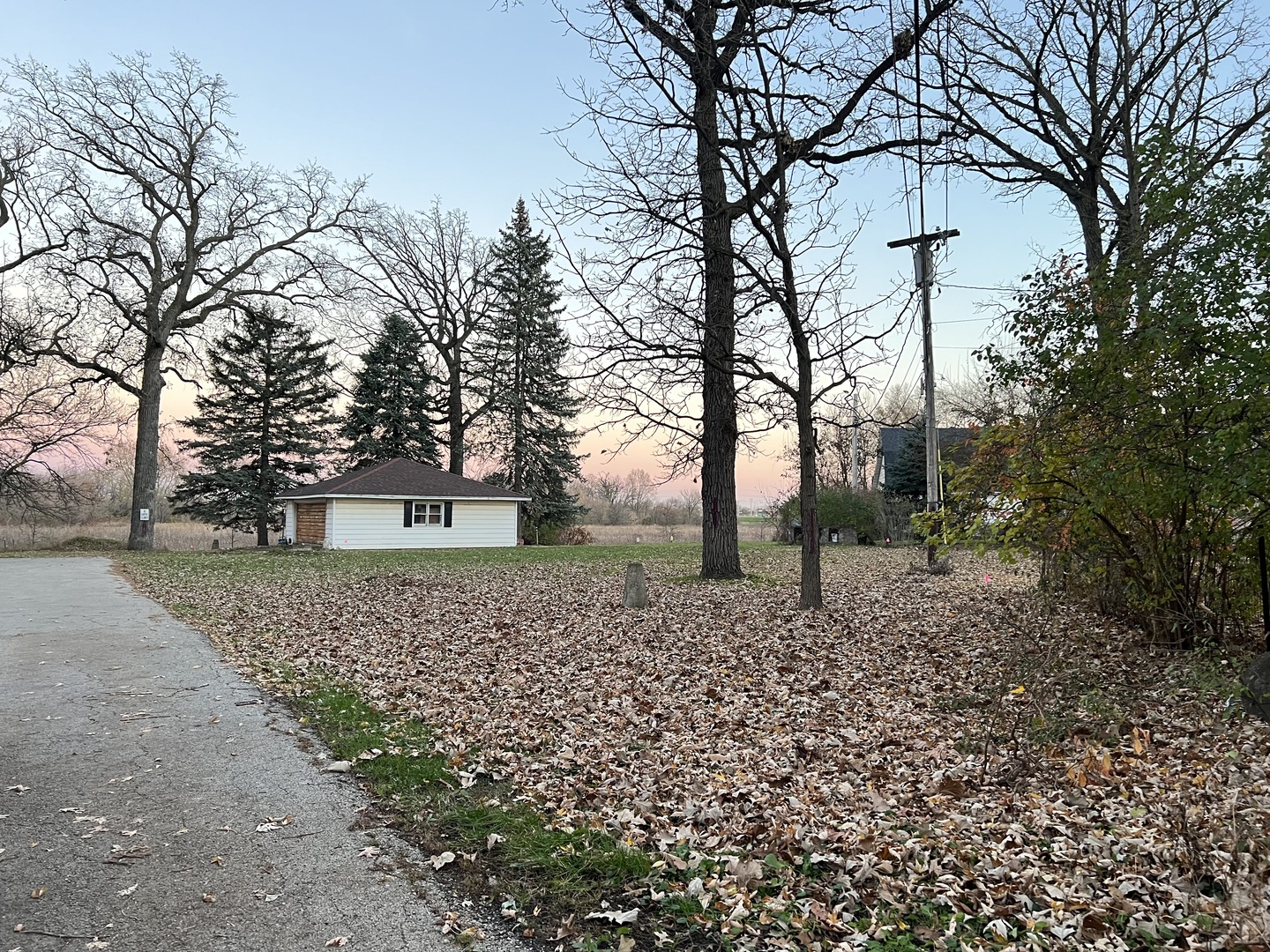 a view of outdoor space with trees