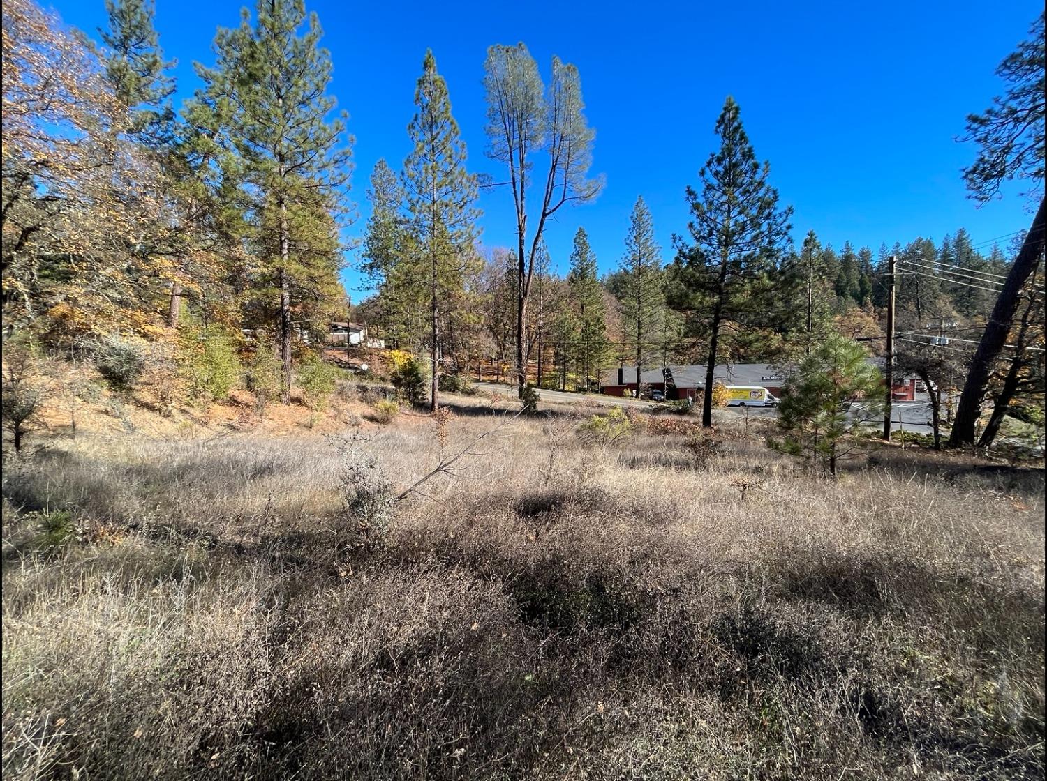 a view of a forest covered with trees