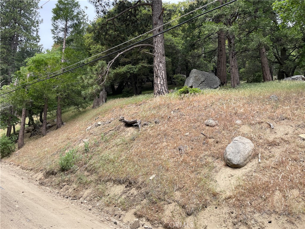 a view of a backyard of the house