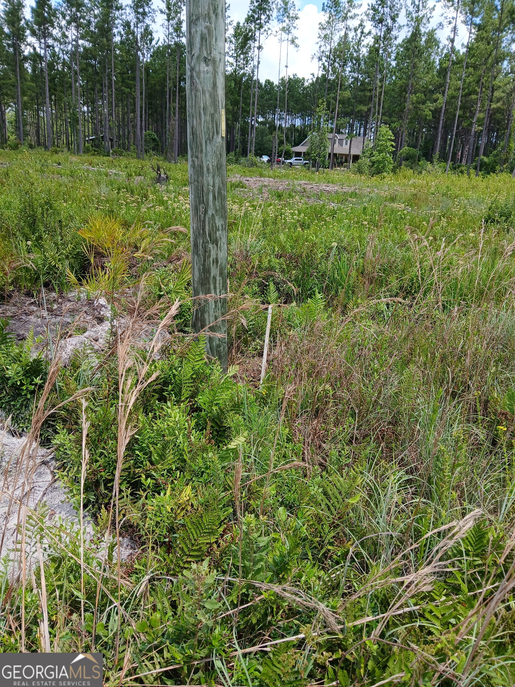 a view of a grassy field with trees