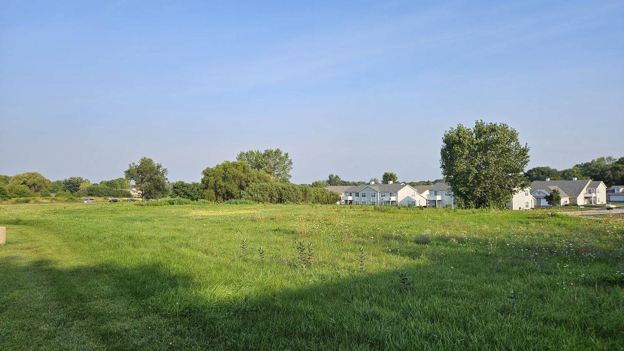 a yard with lots of green space and fog