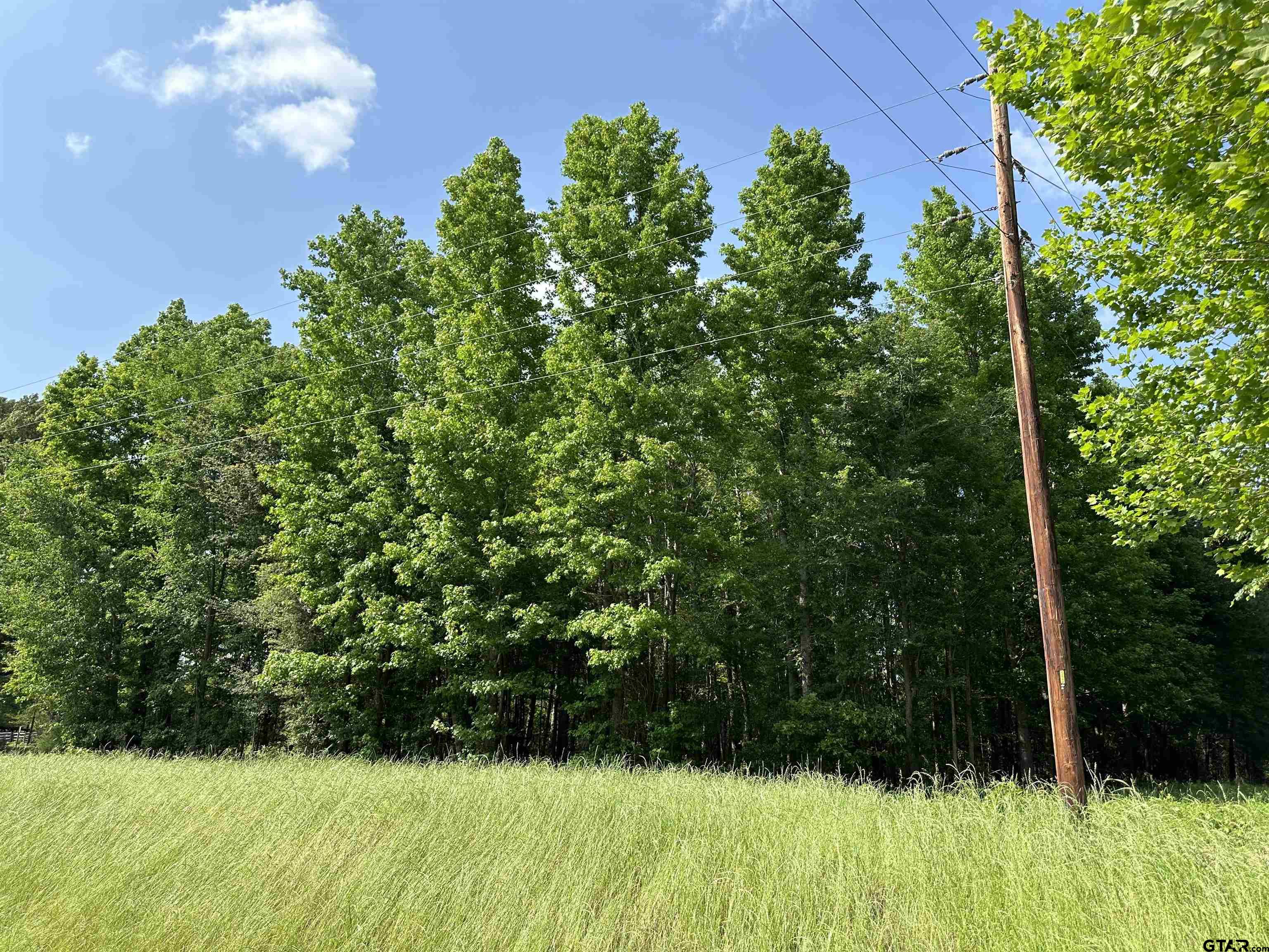 a view of backyard with green space