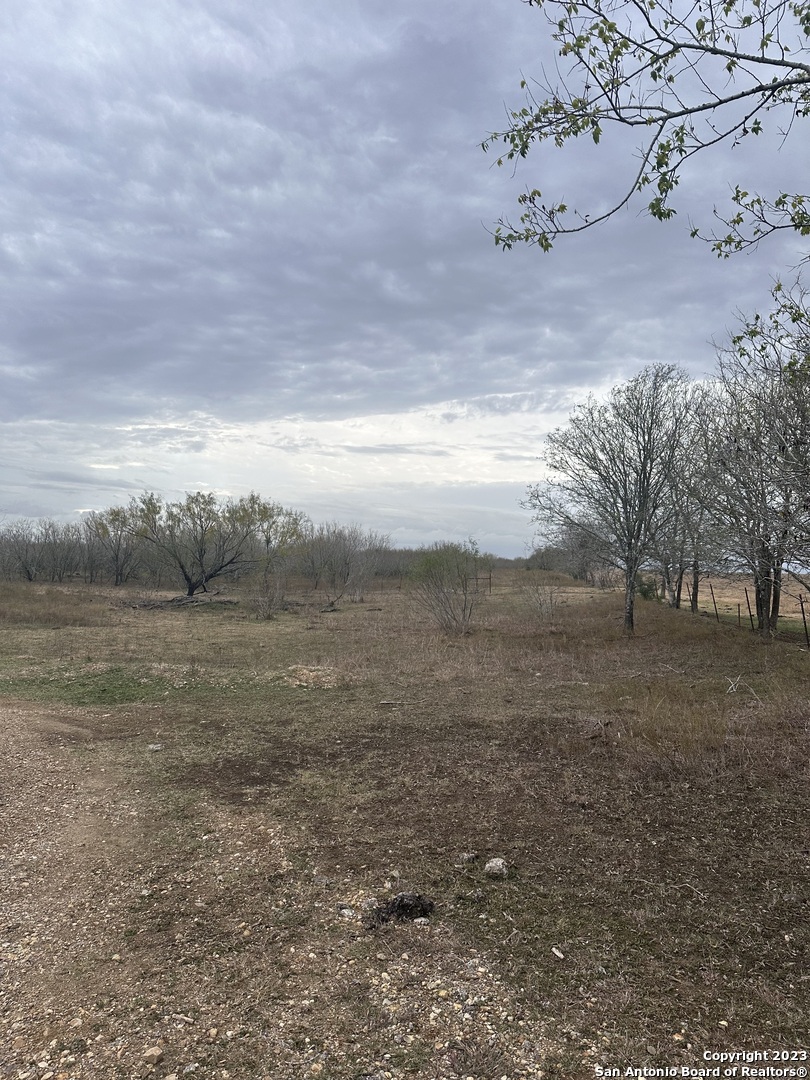 a view of an outdoor space and a yard