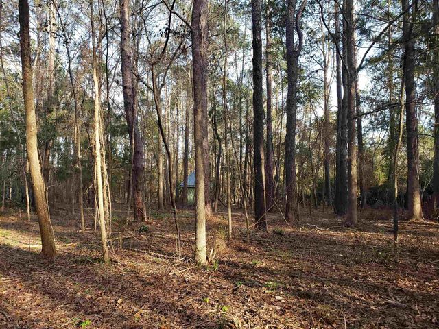 $149,900 | Lot 12 Charles Samuel Drive | Bradfordville