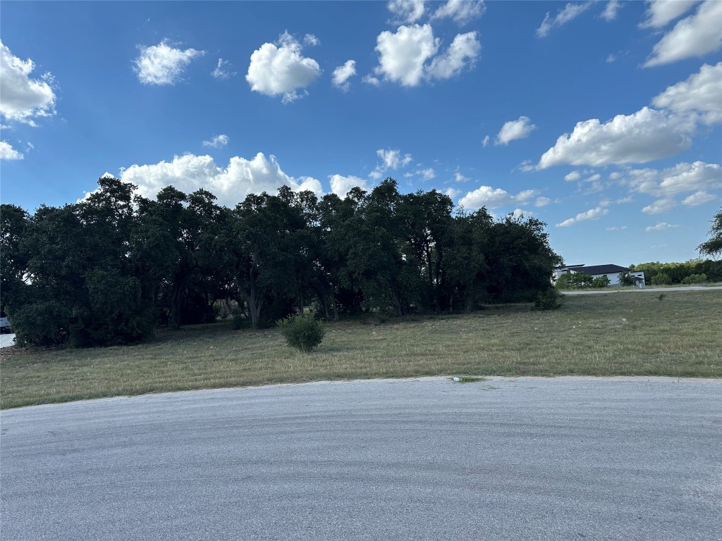 a view of a house and a yard