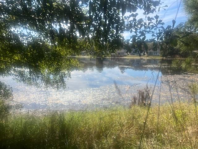 a view of a lake from a yard