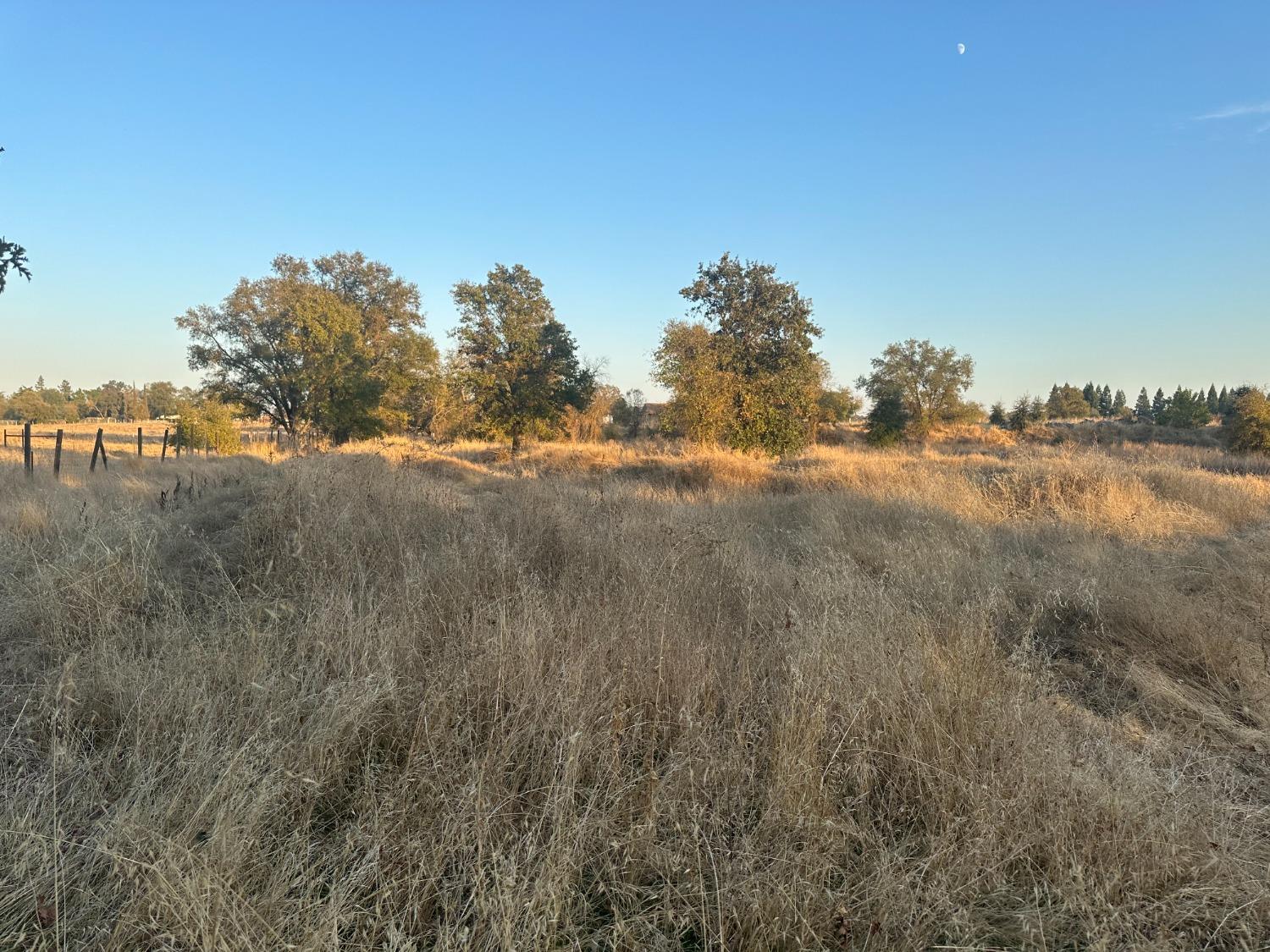 a view of a field of grass and trees