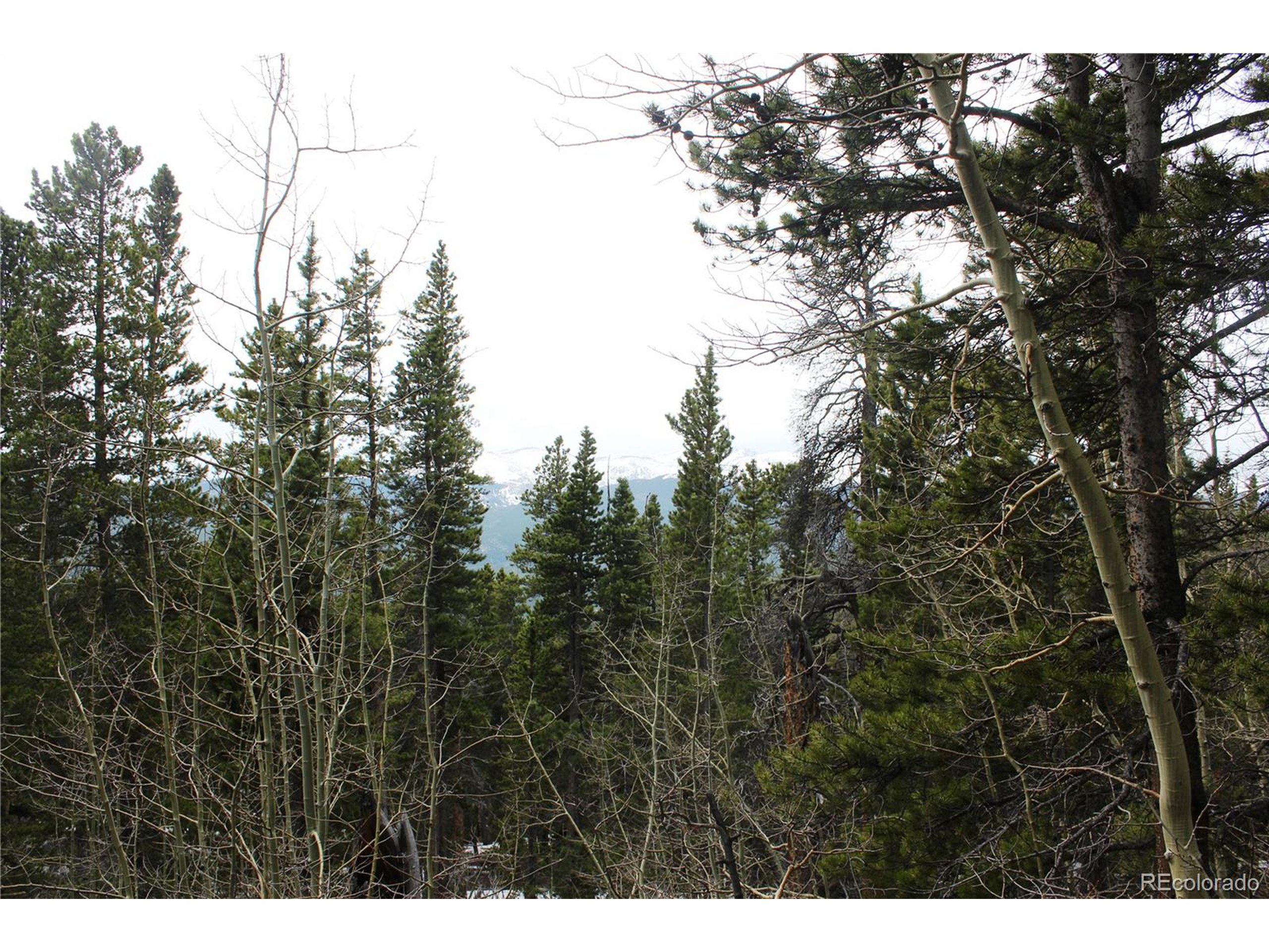 a view of city with lots of trees