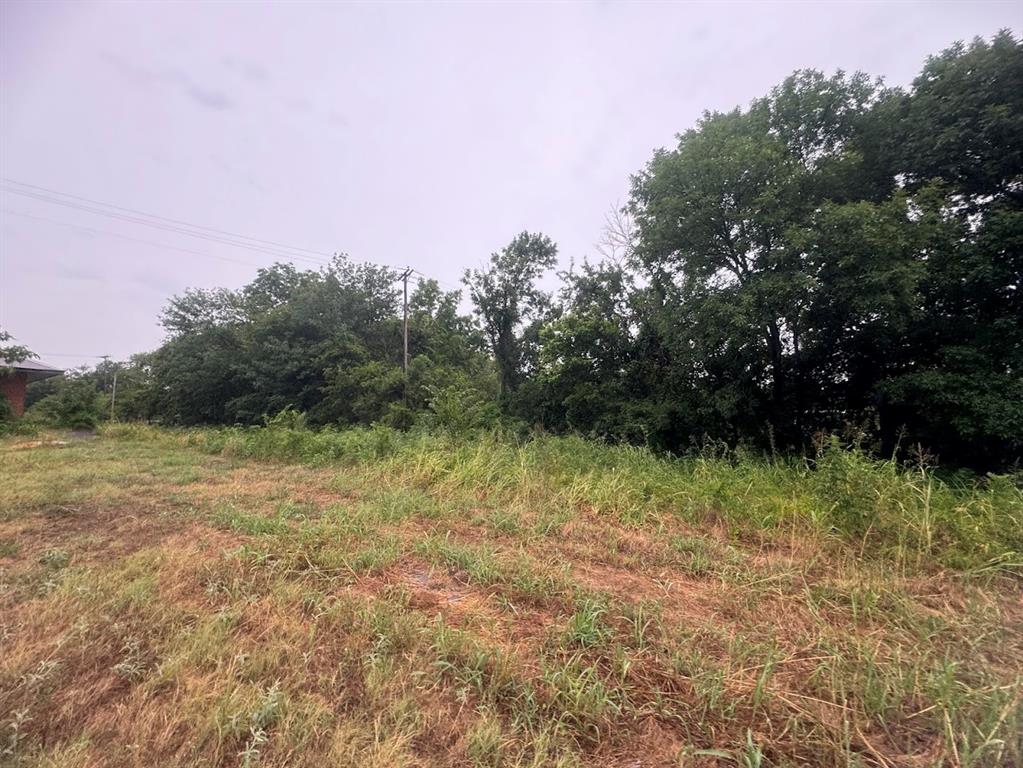 a view of a yard with a tree