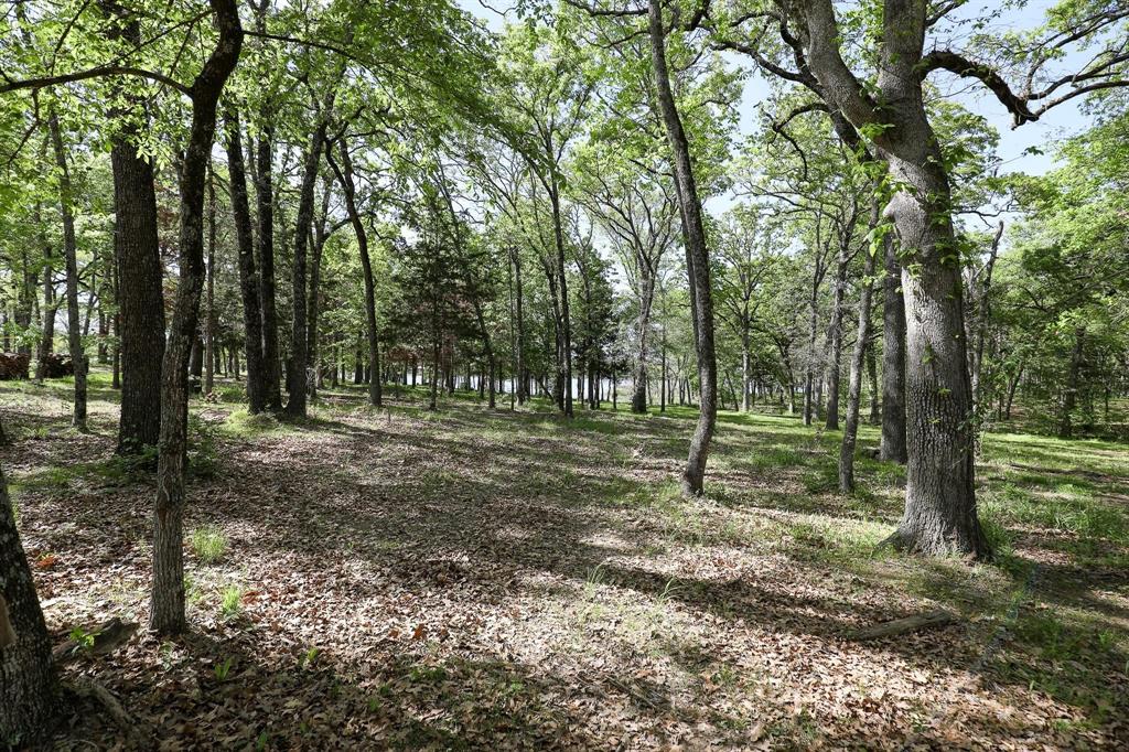 a view of outdoor space with trees all around