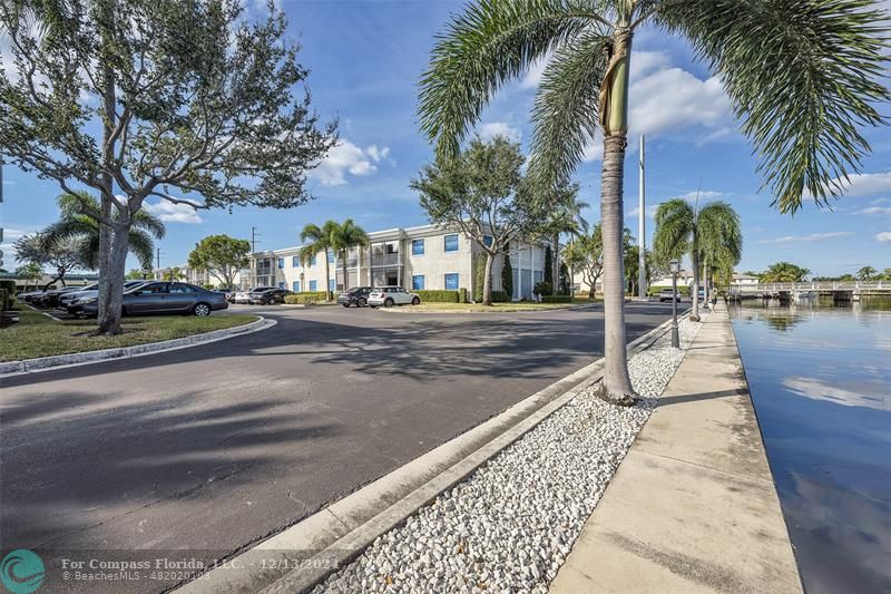 a view of a park with palm trees