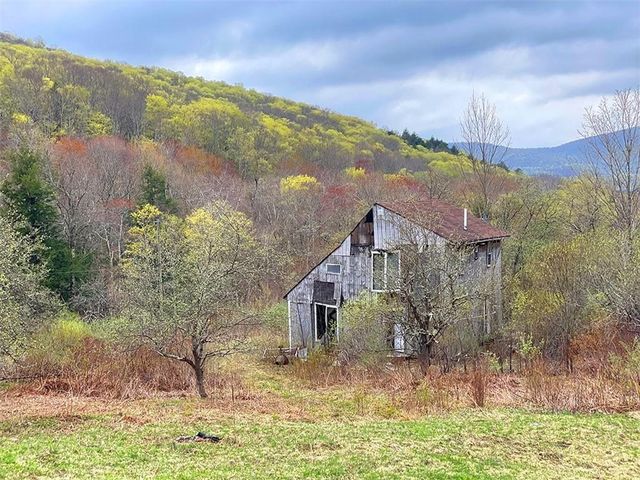 $70,000 | 183 Haynes Hollow Road | Hardenburgh