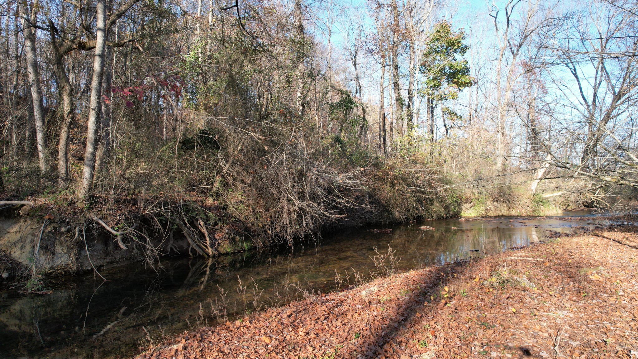 a view of lake with a yard