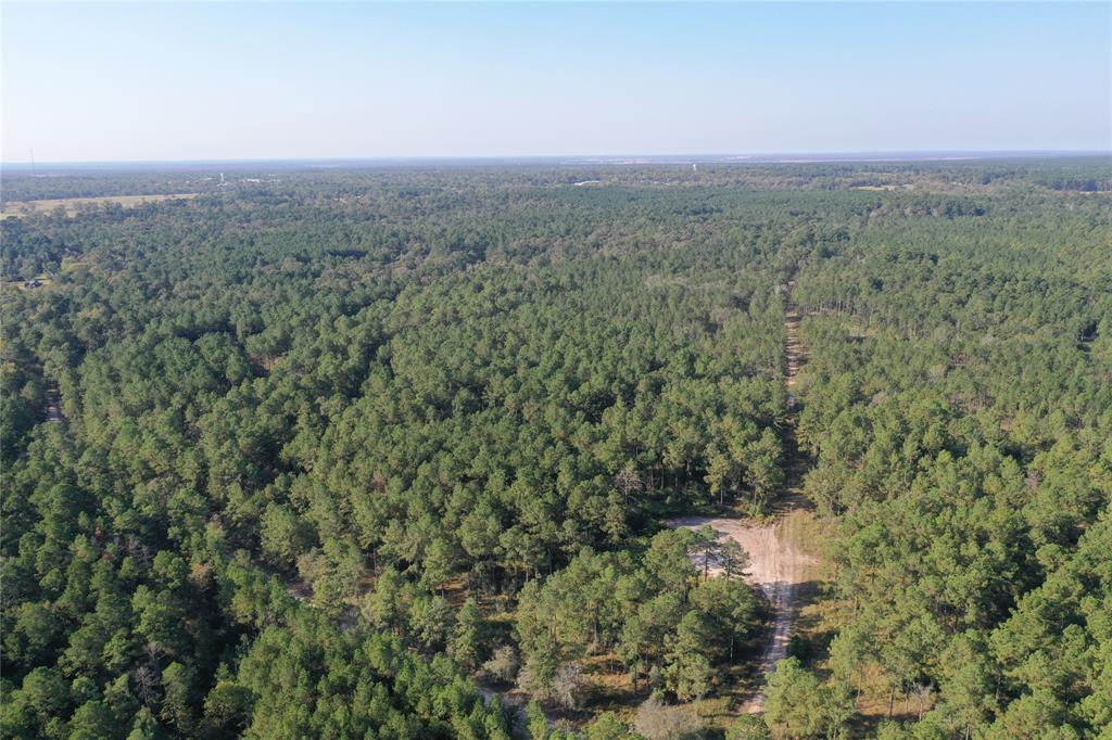 a view of a green field with lots of bushes