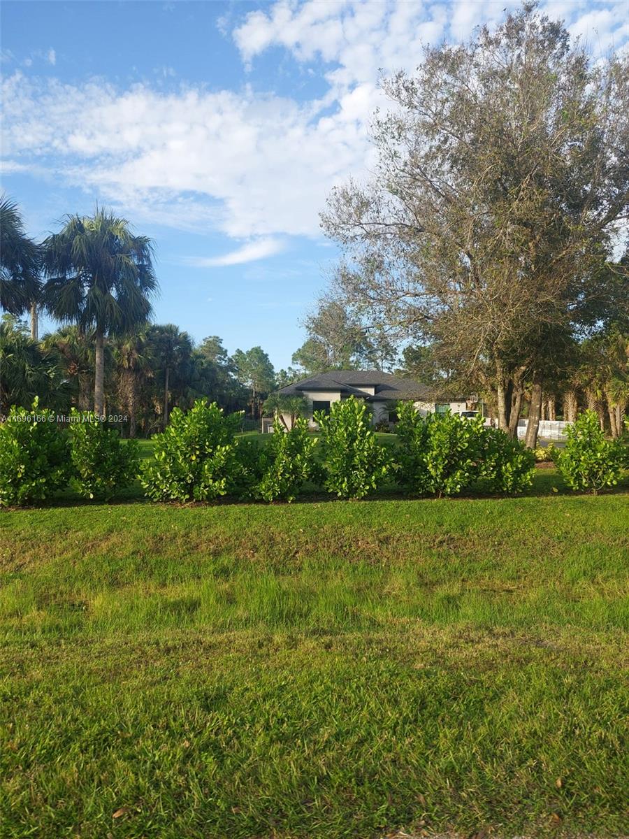 a view of a big yard with lots of green space