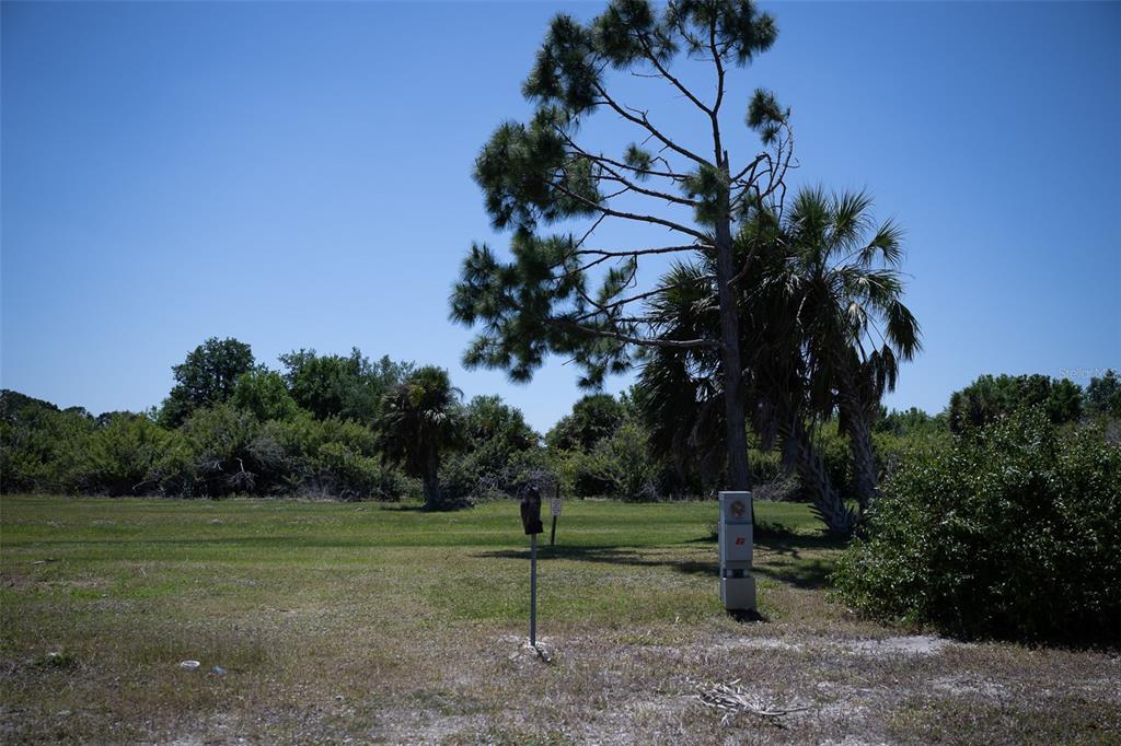 a view of a park