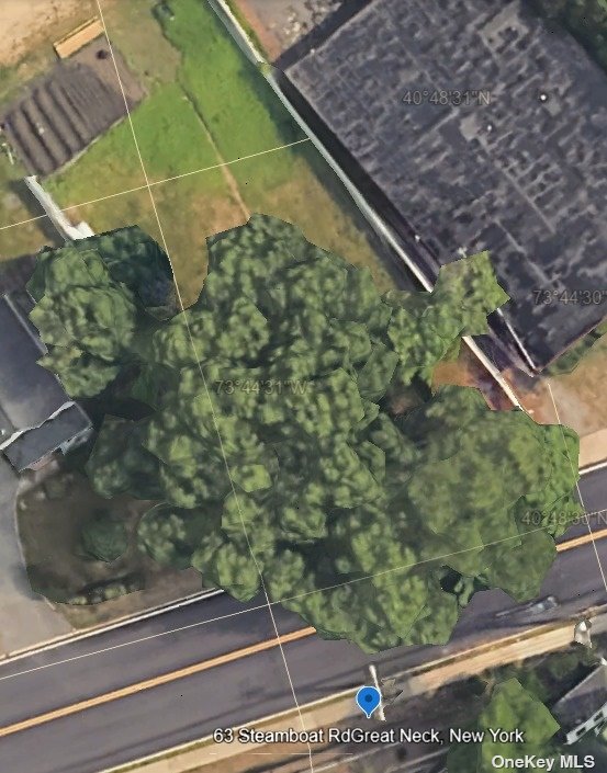 a view of a yard with plants