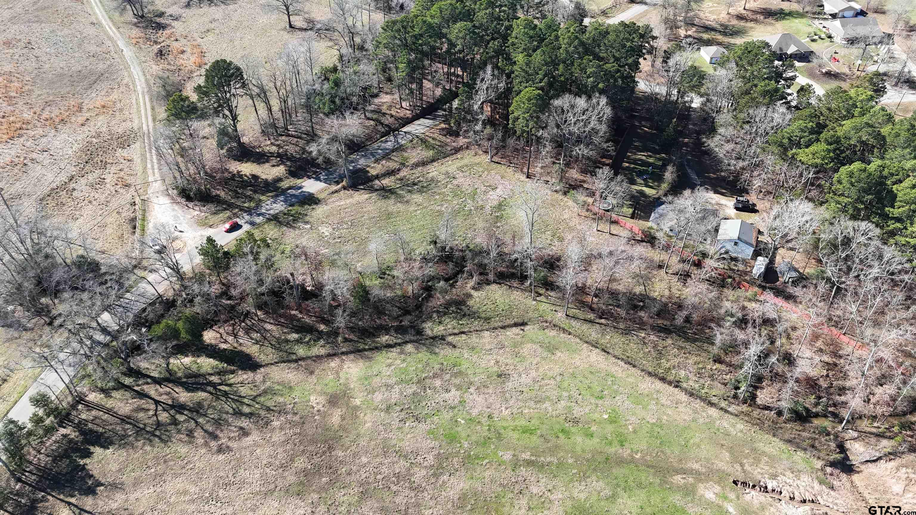 a view of a dry yard with trees