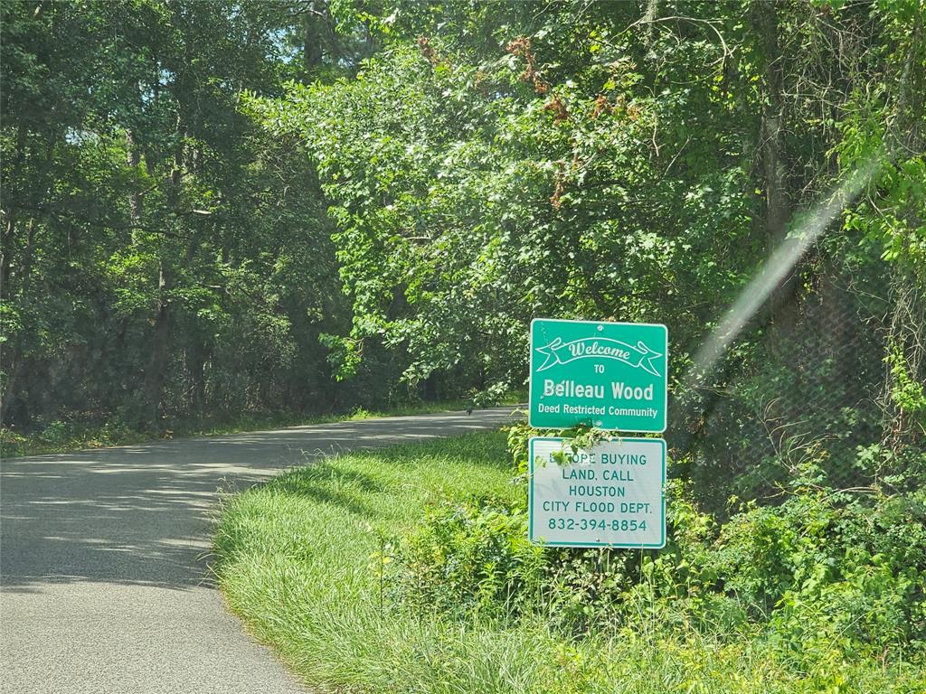 a green field with lots of bushes