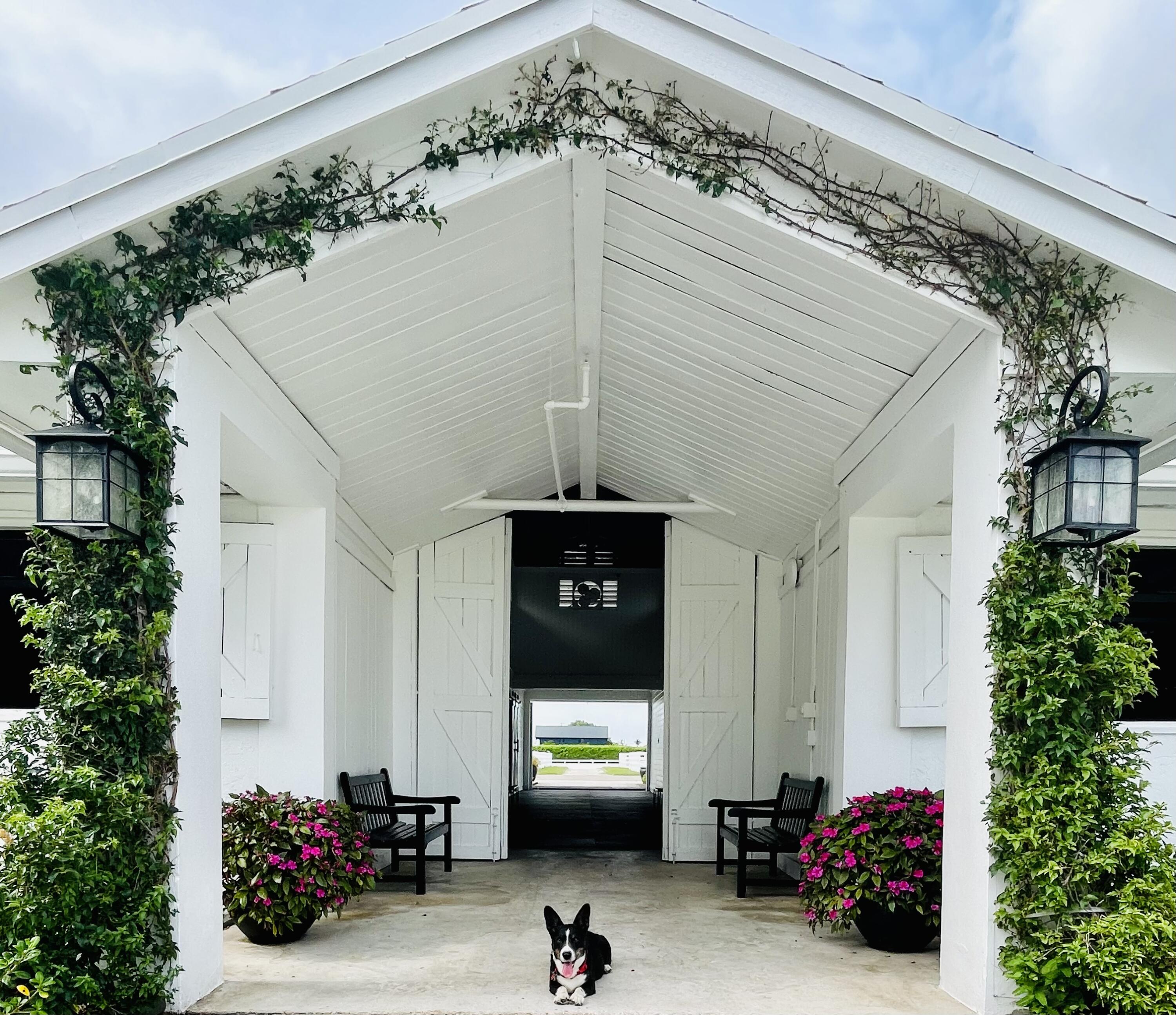 a front view of a house with garage