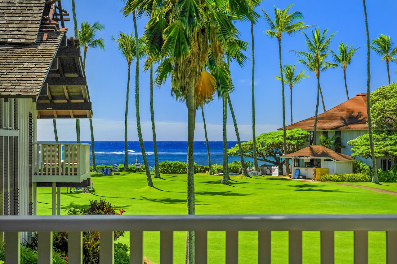 a view of a street with a palm tree