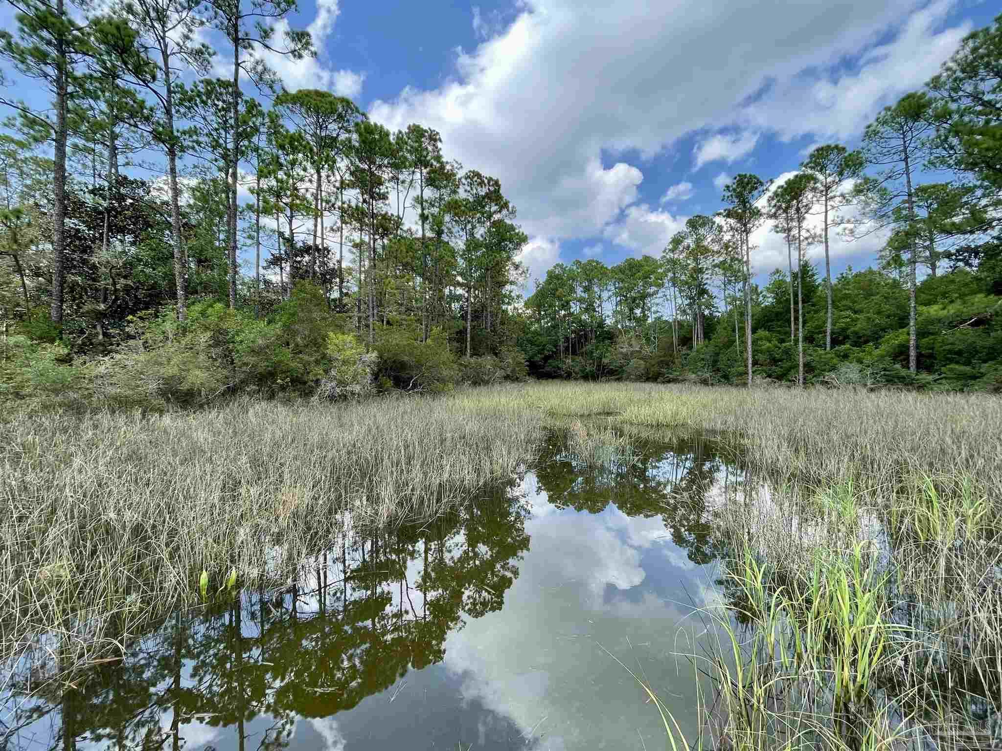 a view of a lake with a yard