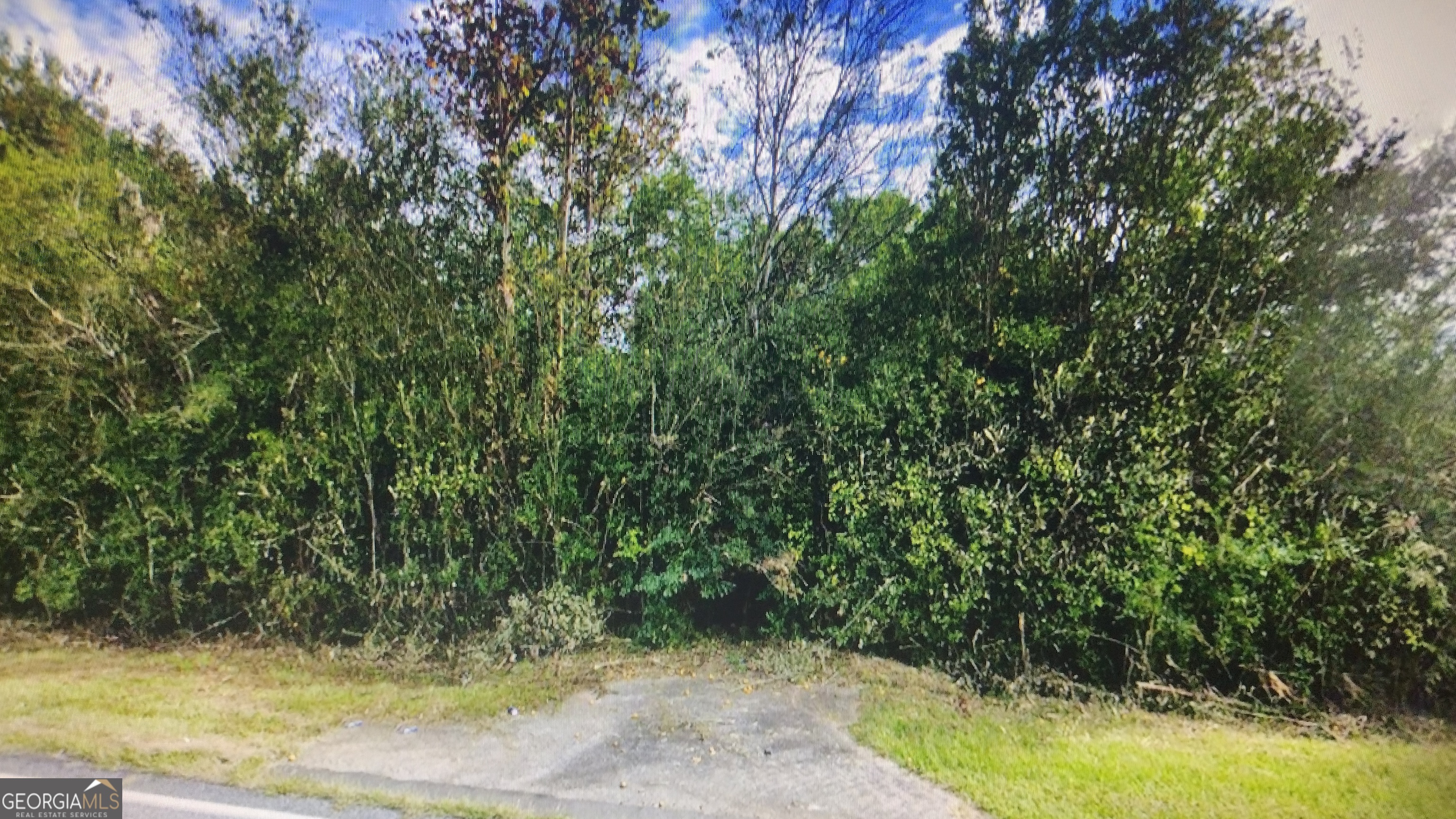 a view of a yard with a tree