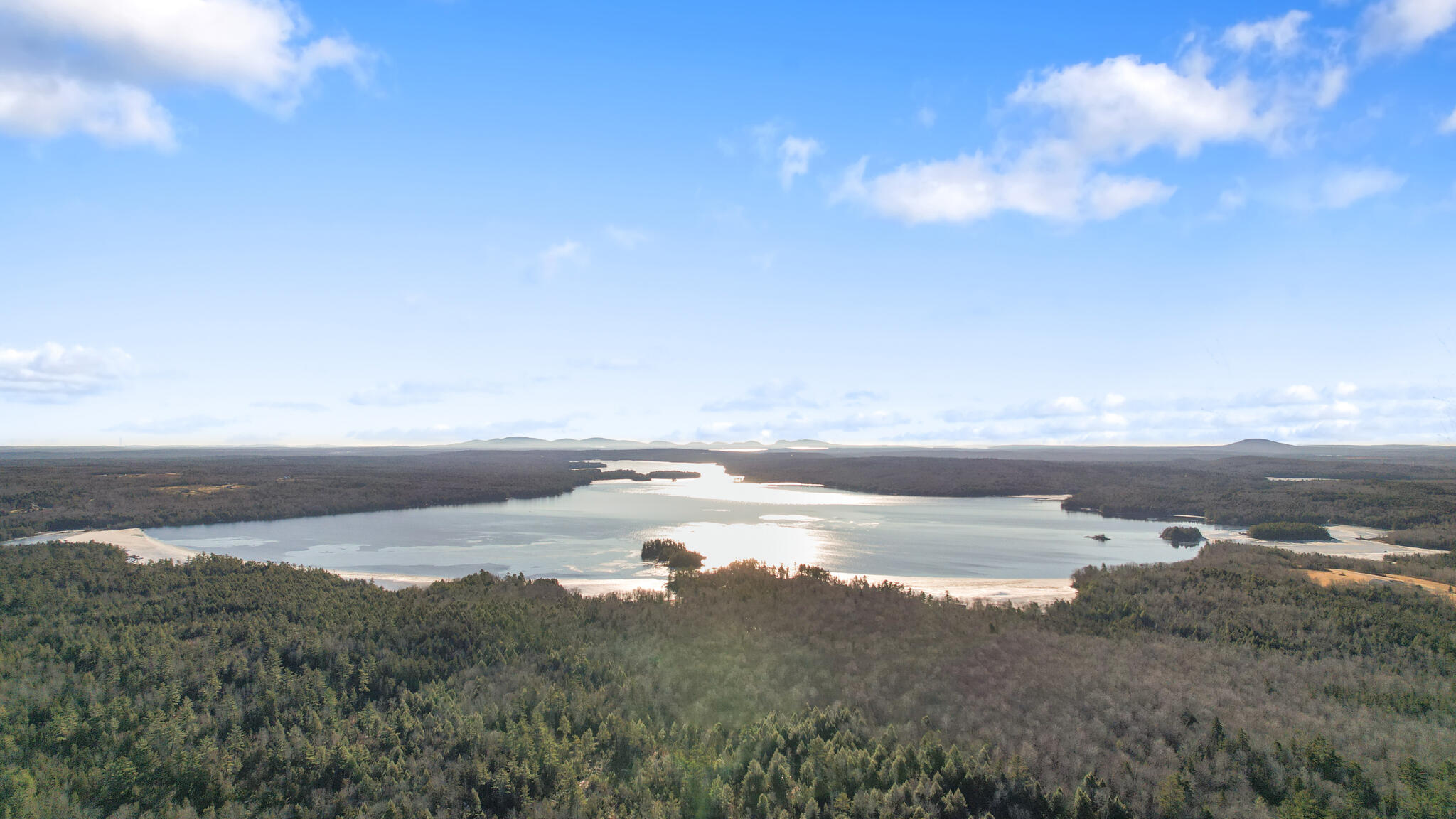 Overview of Branch Pond