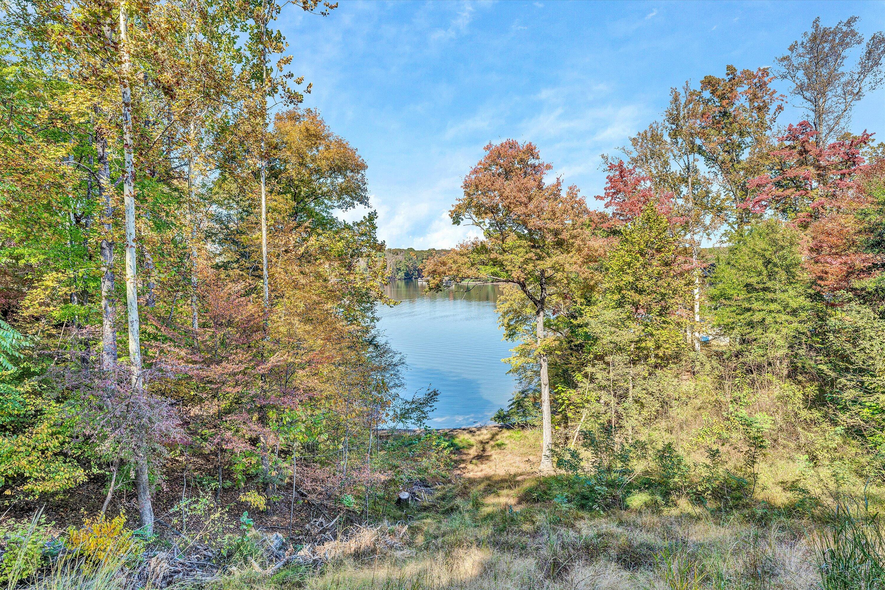 a view of lake with large trees