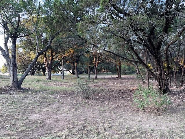 a view of outdoor space with trees