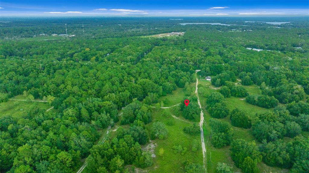 a view of a lush green space