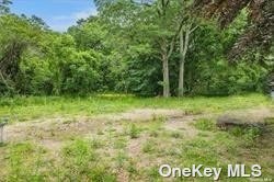 a view of outdoor space with trees all around