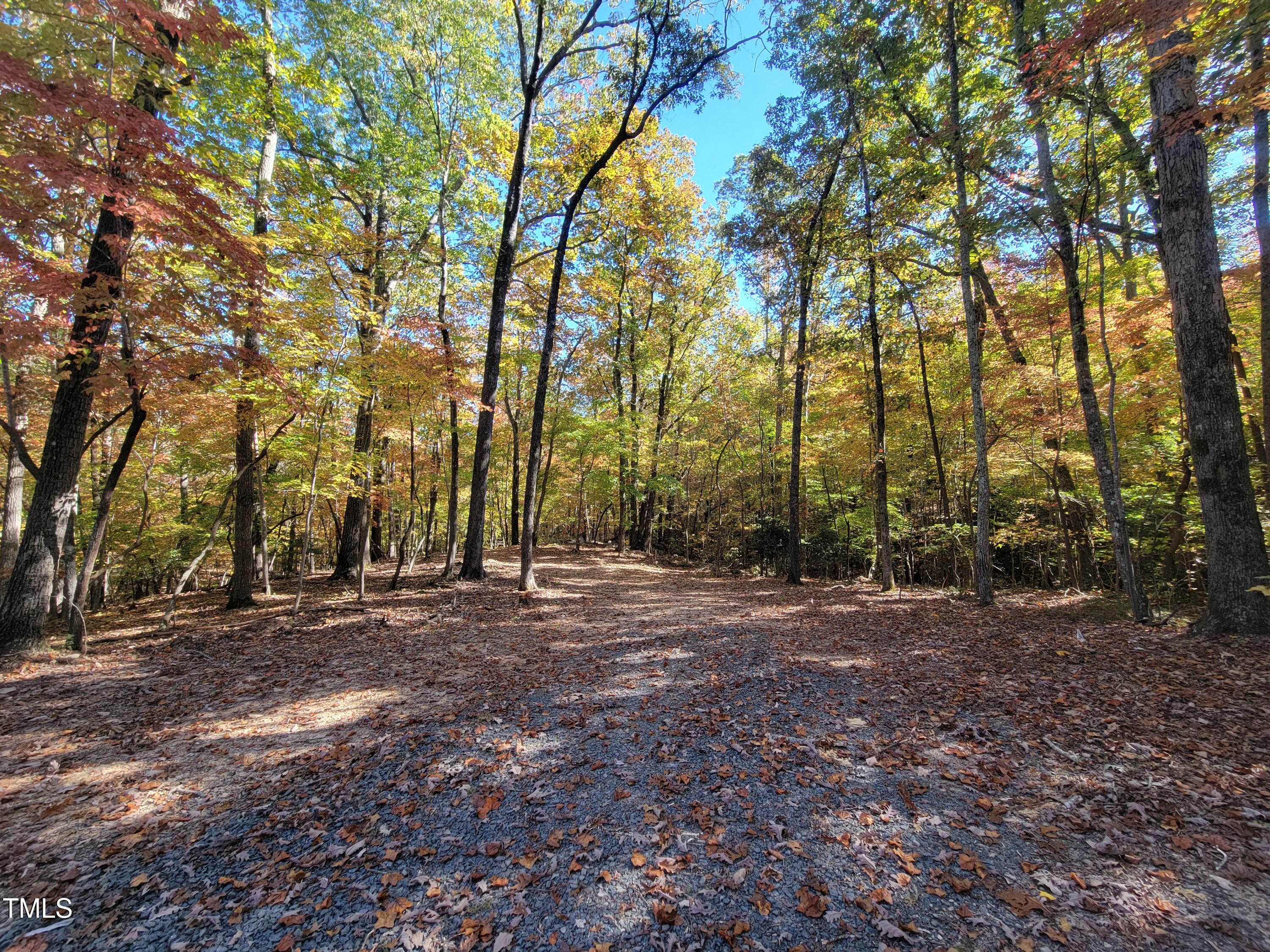 a view of outdoor space with trees