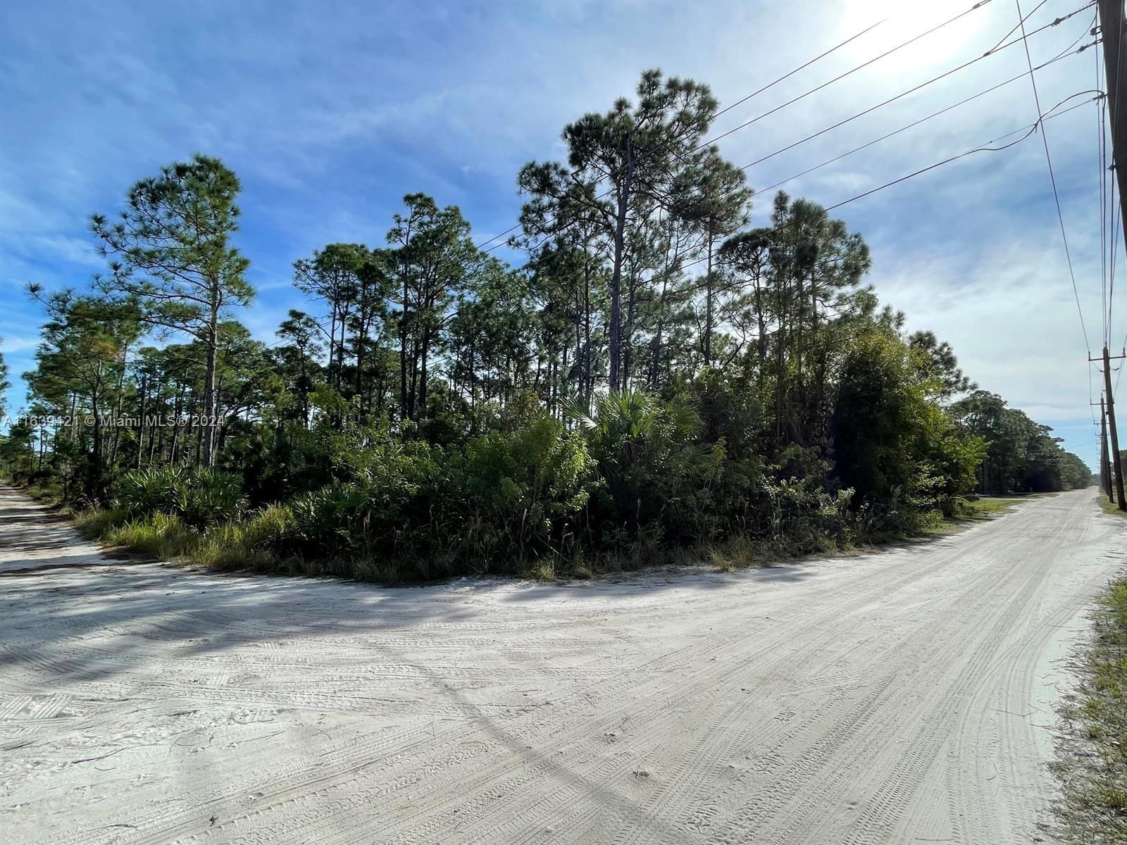 a view of outdoor space with trees