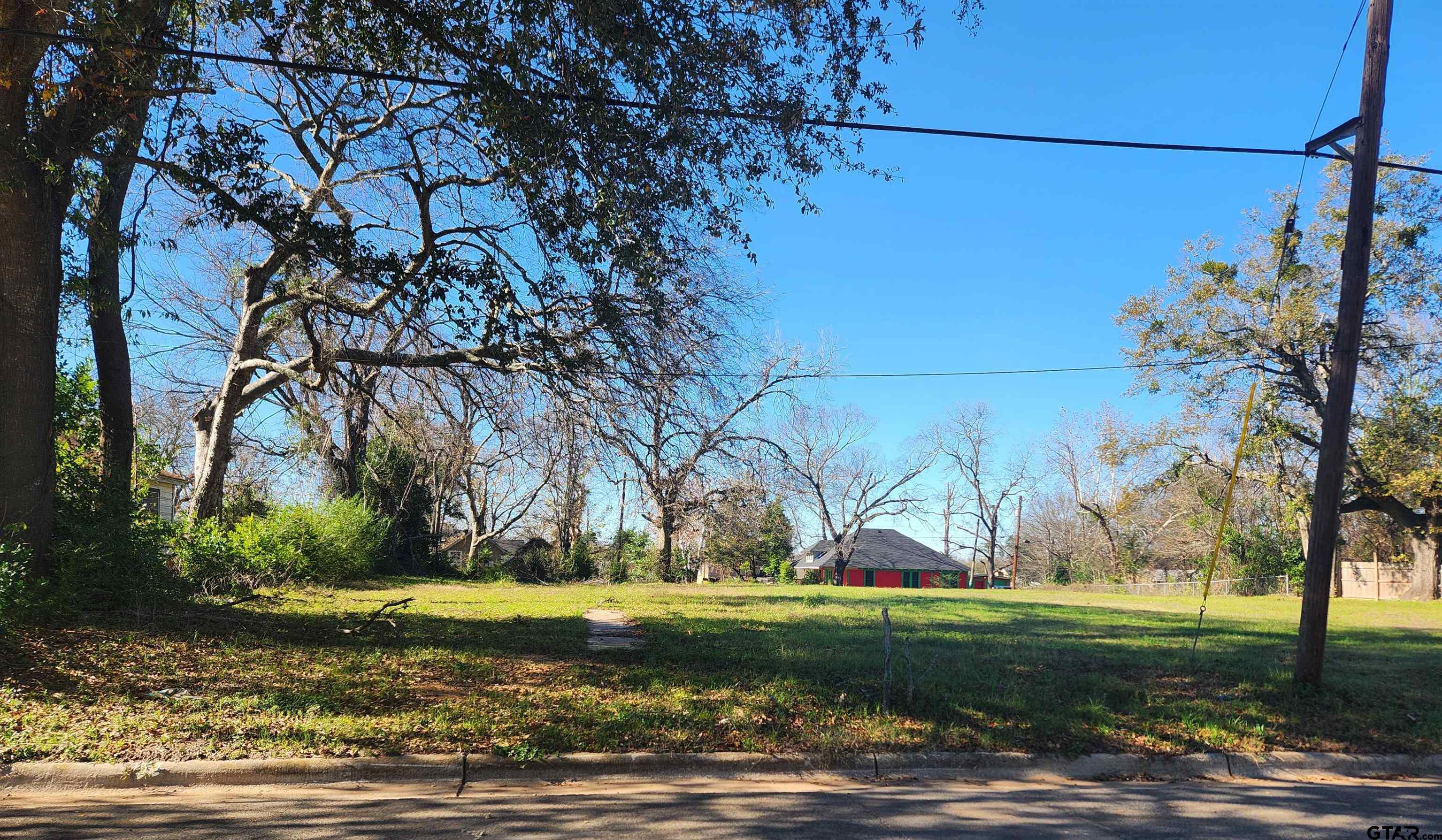 a view of a yard