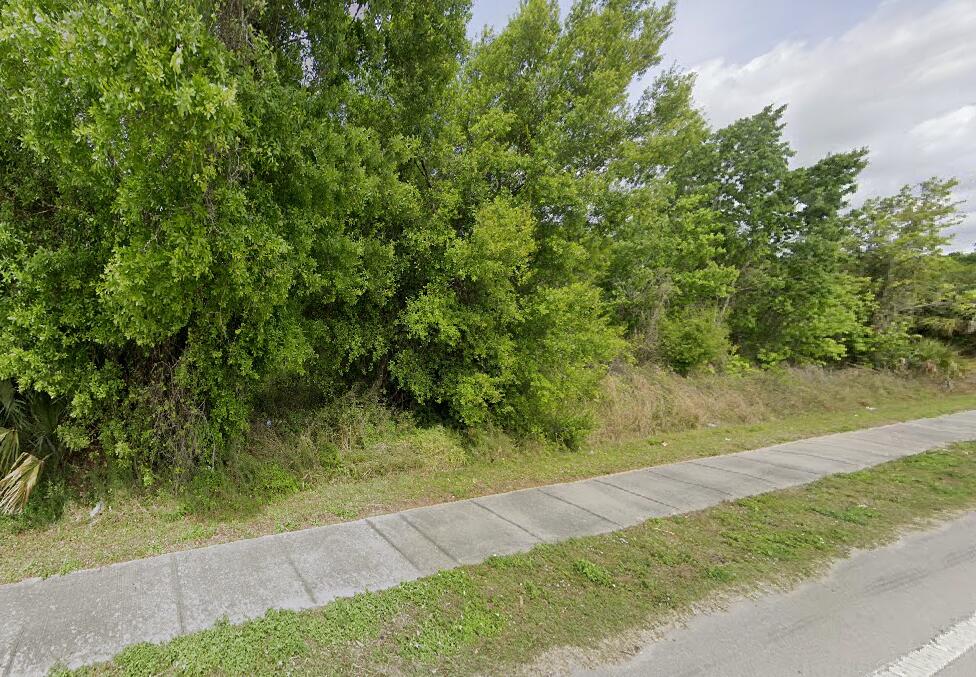 a view of a yard with a tree