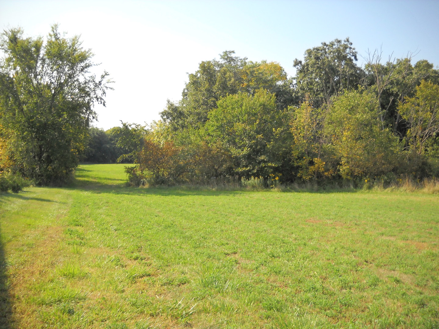 a view of outdoor space and yard