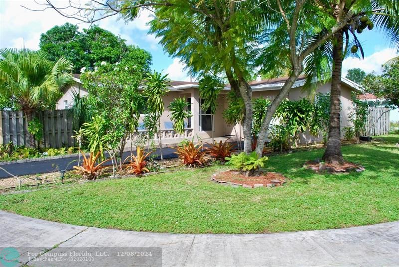 a backyard of a house with table and chairs plants and large tree