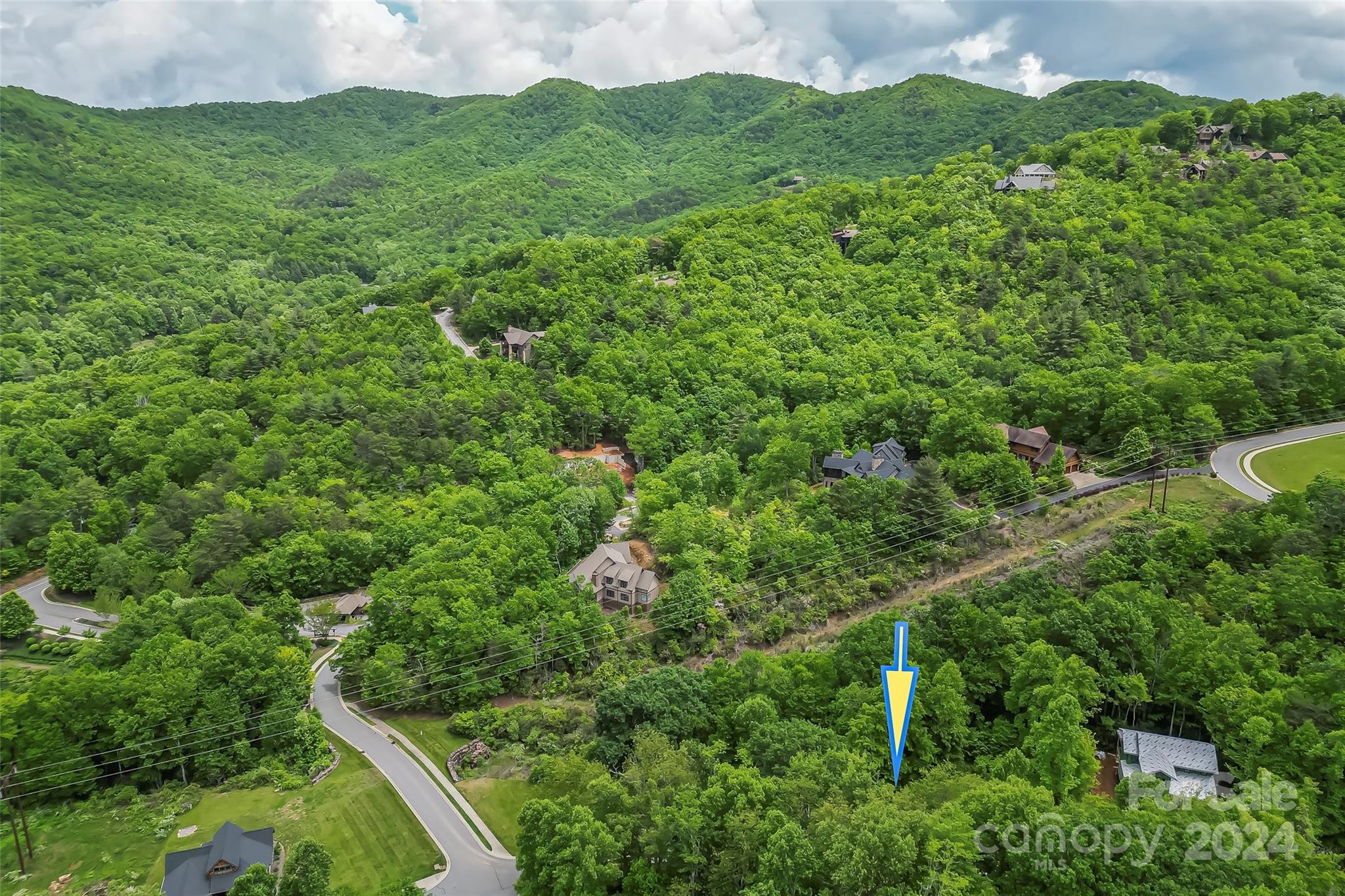 a view of a lush green forest with lots of trees