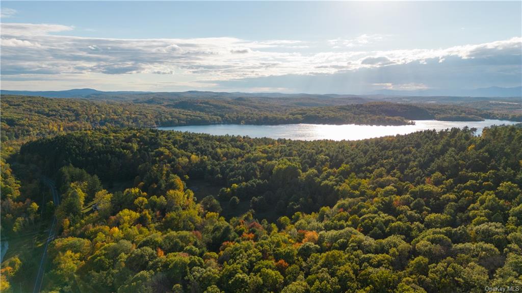 Aerial view with lake in distance