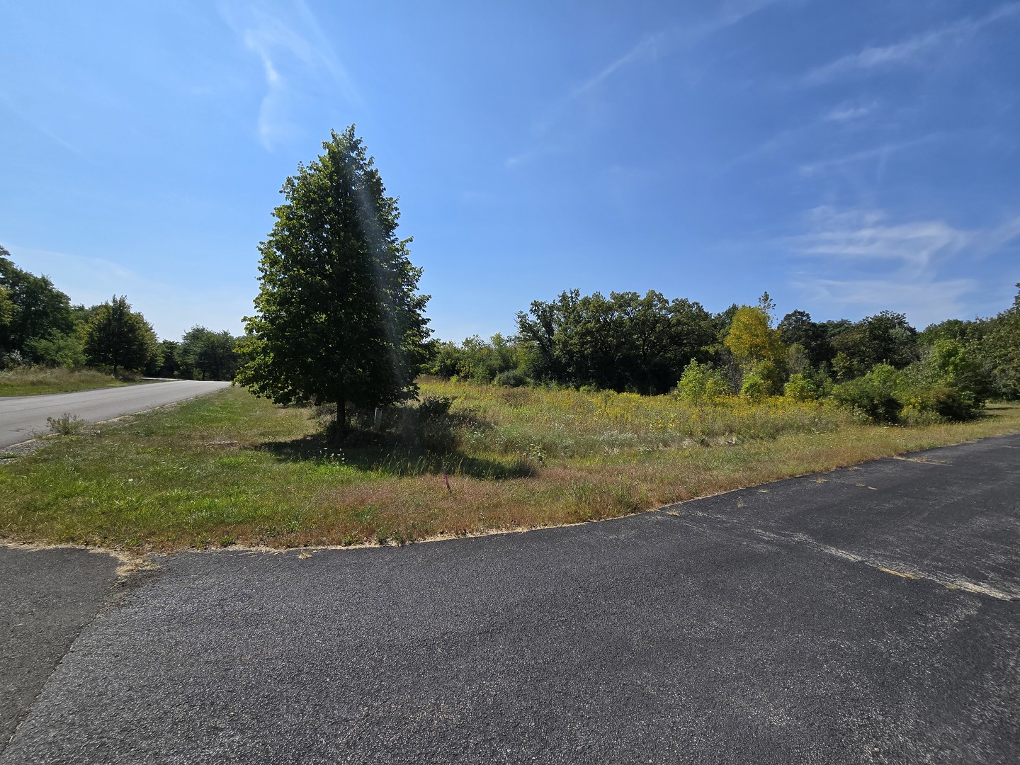 a view of a field with trees in the background