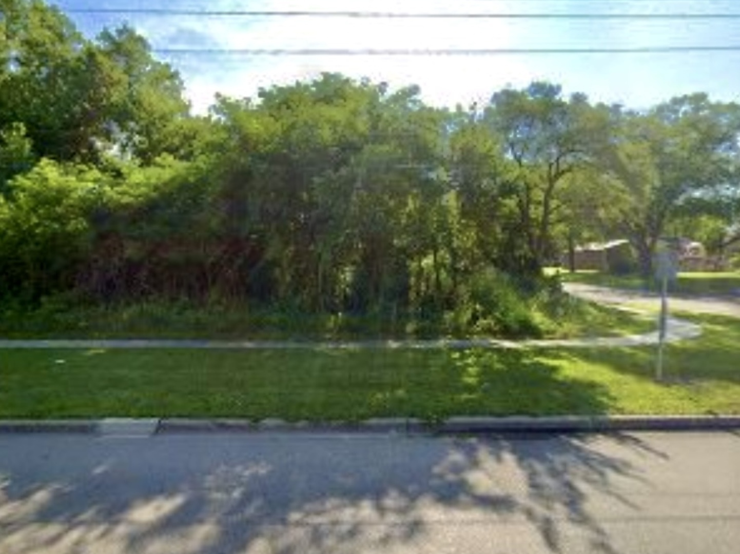 a view of a yard with a tree