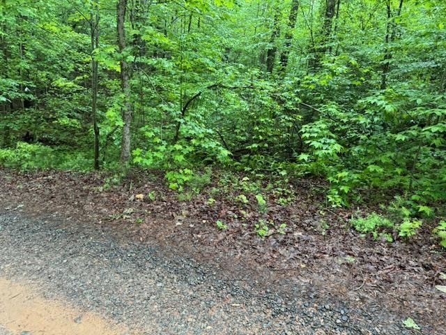 $25,000 | Lot 146 Garner Lane | Martin