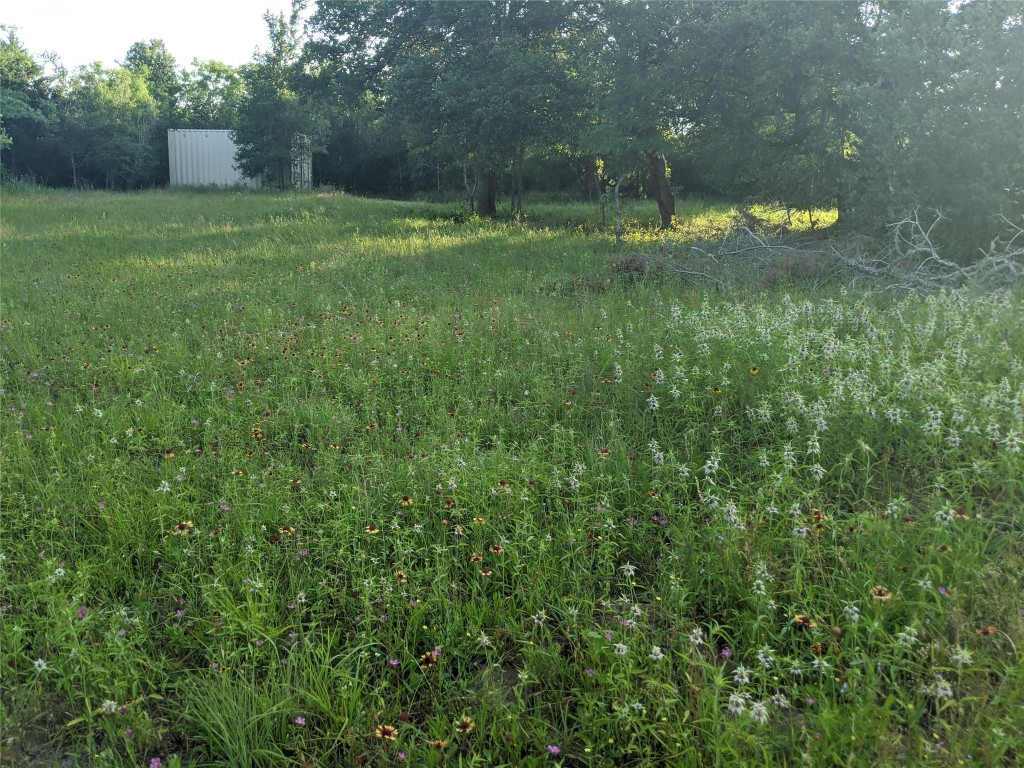 a view of an outdoor space and a yard