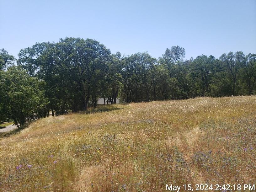 a view of outdoor space with trees all around