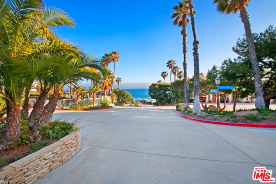 a view of a street with palm trees