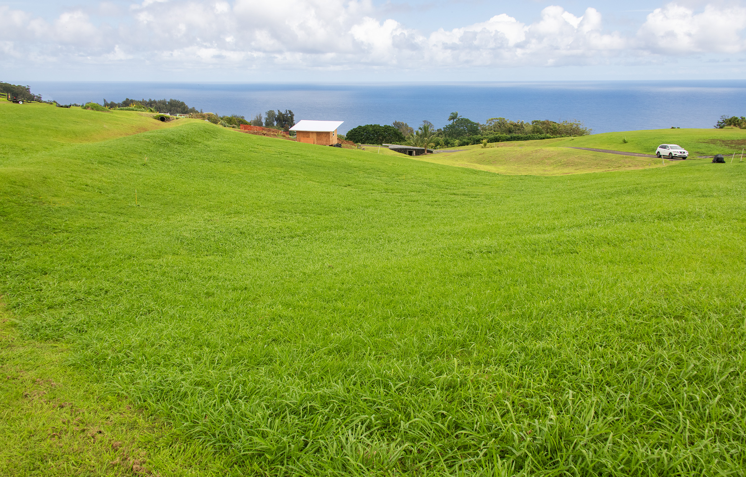 a view of a large body of water with lots of green space