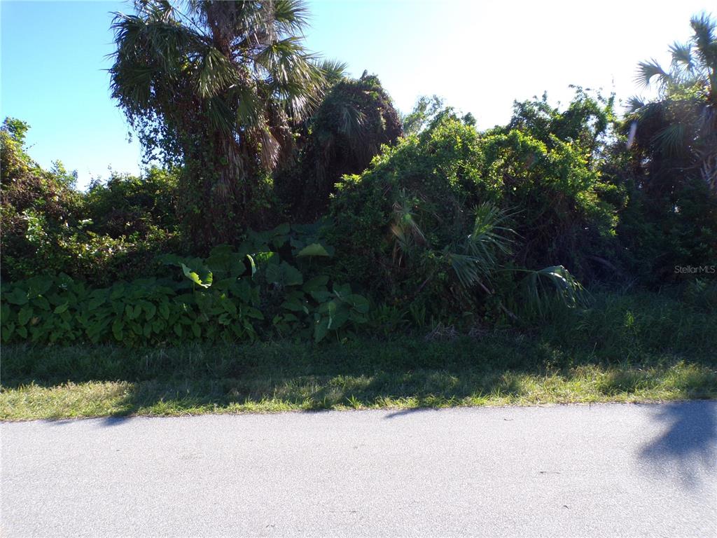 a view of a yard and a pathway