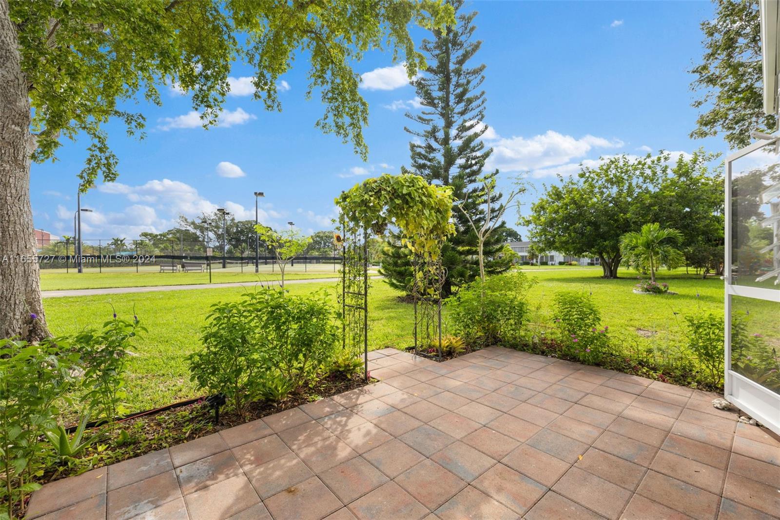 a view of a park with large trees