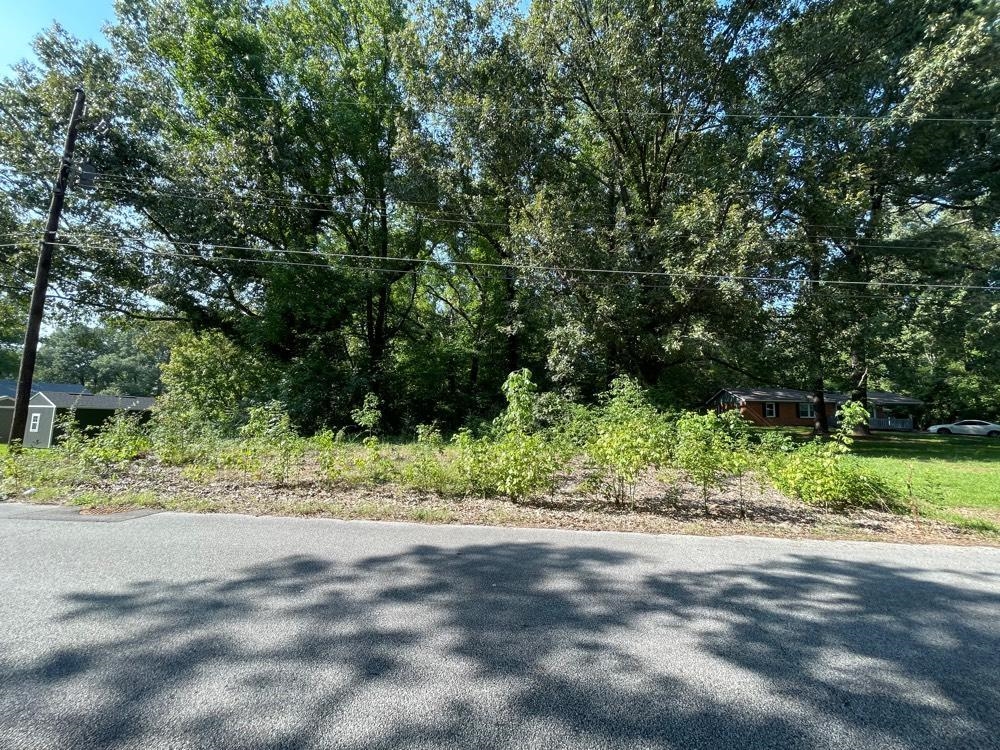 a view of a yard with a tree